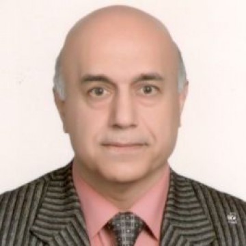 Prof. Hassan Hayani